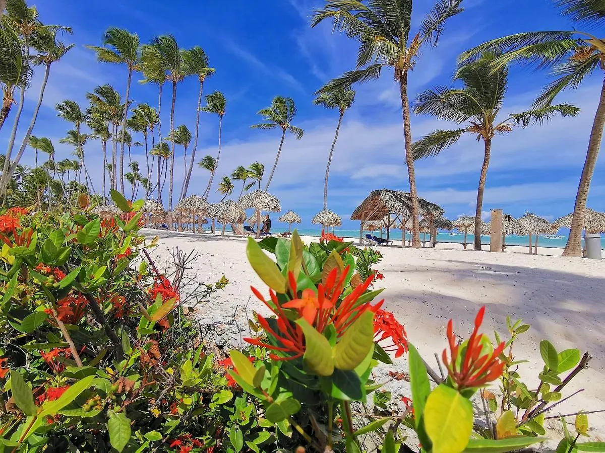 Rooftop Pool Ducassi Suites - Playa Bavaro - Free Wifi & Parking - Best Location Punta Cana 5*,  Dominican Republic